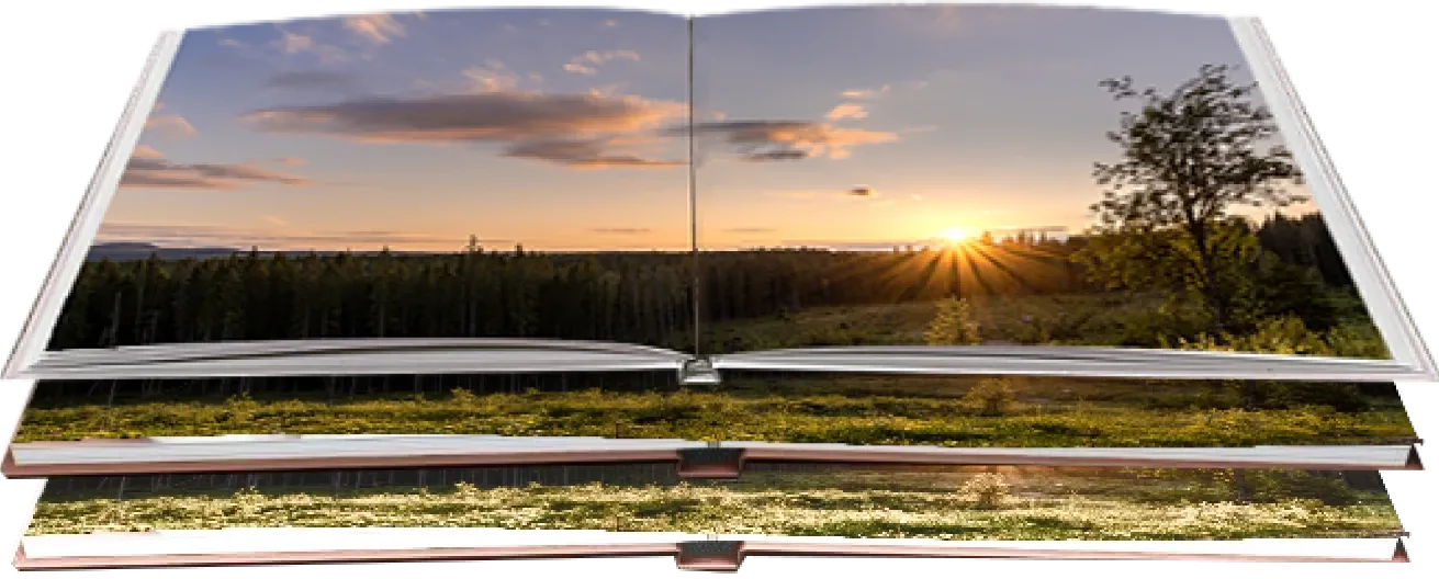 Изображение книги